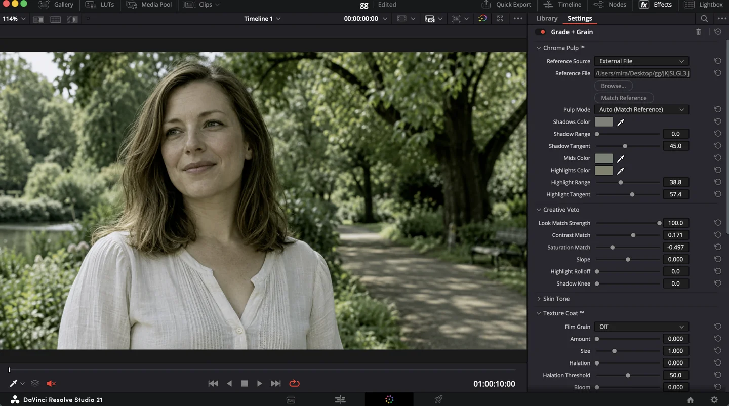 Chroma Pulp grading controls and reference matching inside DaVinci Resolve
